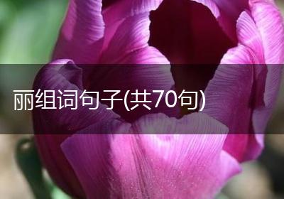 丽组词句子(共70句)