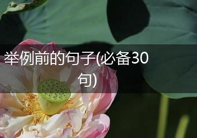 举例前的句子(必备30句)