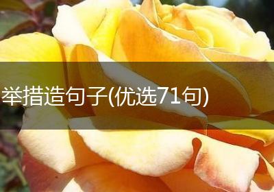 举措造句子(优选71句)