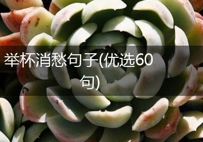 举杯消愁句子(优选60句)