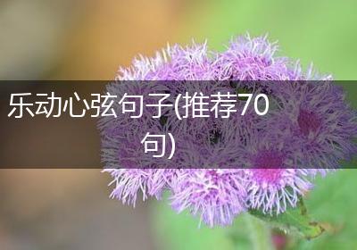 乐动心弦句子(推荐70句)