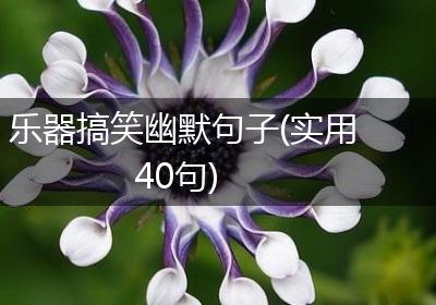 乐器搞笑幽默句子(实用40句)