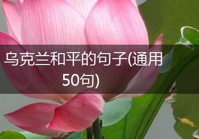 乌克兰和平的句子(通用50句)