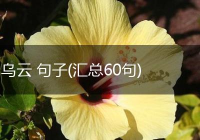 乌云 句子(汇总60句)
