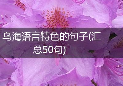 乌海语言特色的句子(汇总50句)