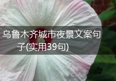 乌鲁木齐城市夜景文案句子(实用39句)