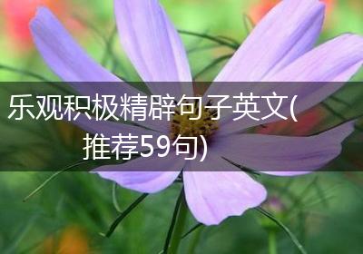乐观积极精辟句子英文(推荐59句)