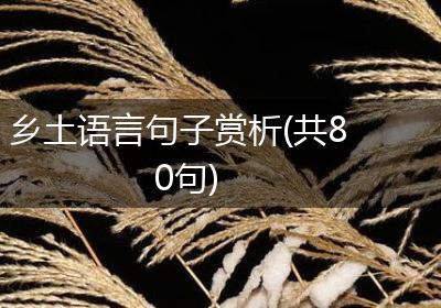 乡土语言句子赏析(共80句)