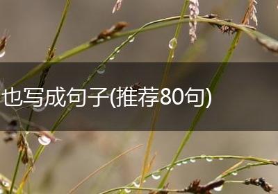 也写成句子(推荐80句)