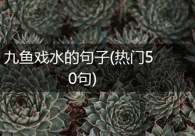 九鱼戏水的句子(热门50句)