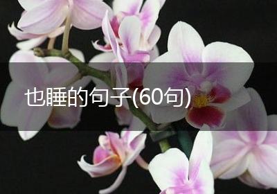 也睡的句子(60句)