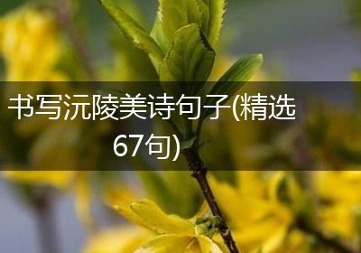 书写沅陵美诗句子(精选67句)