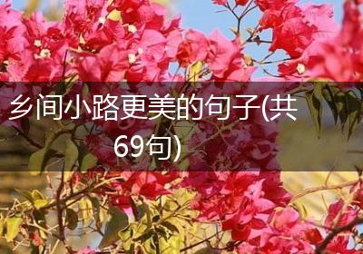 乡间小路更美的句子(共69句)