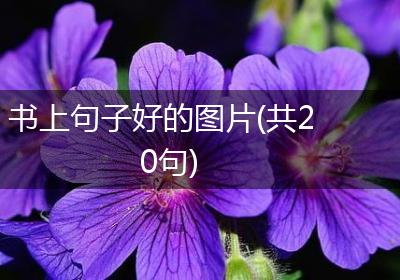 书上句子好的图片(共20句)