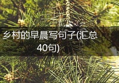 乡村的早晨写句子(汇总40句)