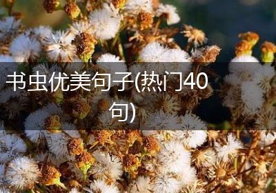 书虫优美句子(热门40句)
