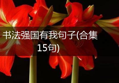 书法强国有我句子(合集15句)