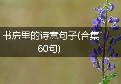 书房里的诗意句子(合集60句)