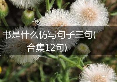 书是什么仿写句子三句(合集12句)