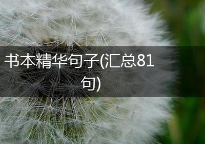书本精华句子(汇总81句)