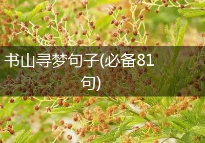 书山寻梦句子(必备81句)