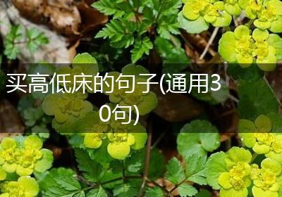 买高低床的句子(通用30句)