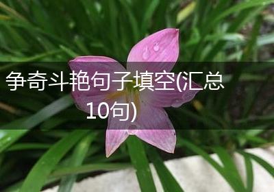 争奇斗艳句子填空(汇总10句)