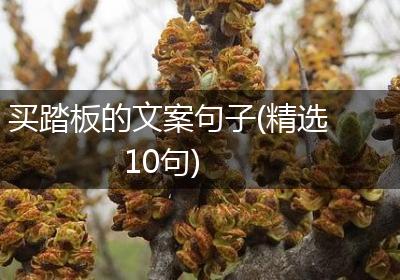 买踏板的文案句子(精选10句)