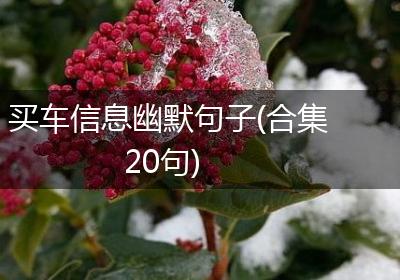 买车信息幽默句子(合集20句)