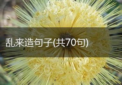 乱来造句子(共70句)