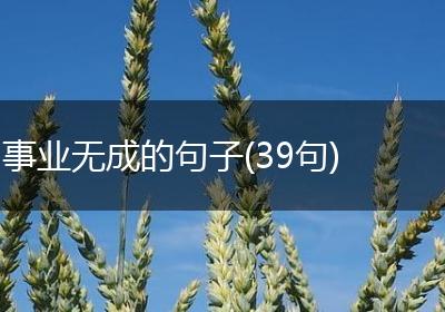 事业无成的句子(39句)