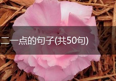 二一点的句子(共50句)