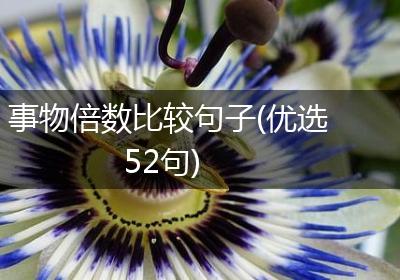 事物倍数比较句子(优选52句)
