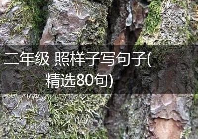 二年级 照样子写句子(精选80句)