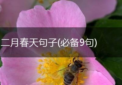 二月春天句子(必备9句)