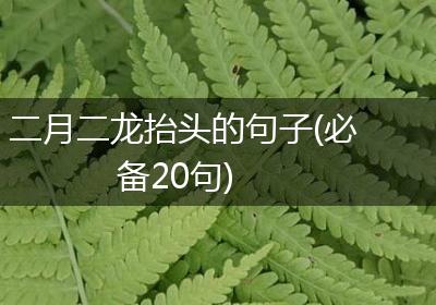 二月二龙抬头的句子(必备20句)
