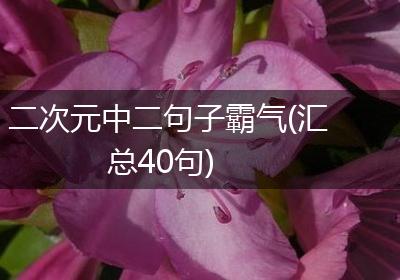 二次元中二句子霸气(汇总40句)