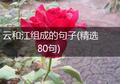 云和江组成的句子(精选80句)
