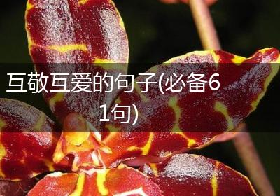 互敬互爱的句子(必备61句)