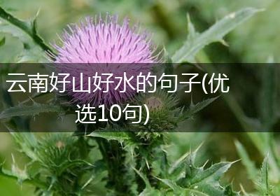 云南好山好水的句子(优选10句)