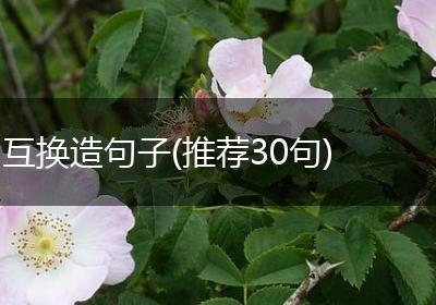 互换造句子(推荐30句)