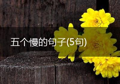五个慢的句子(5句)