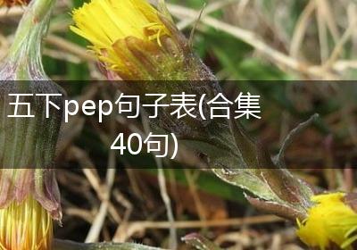 五下pep句子表(合集40句)