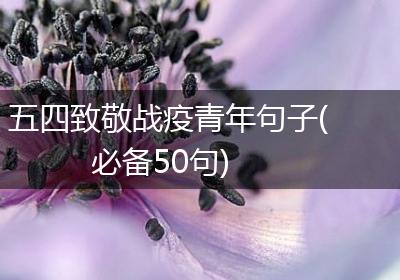 五四致敬战疫青年句子(必备50句)