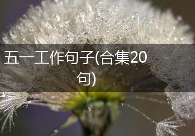 五一工作句子(合集20句)