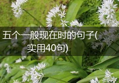五个一般现在时的句子(实用40句)