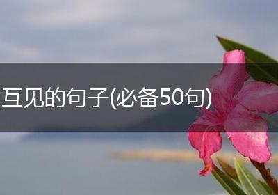 互见的句子(必备50句)