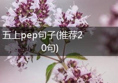 五上pep句子(推荐20句)
