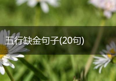 五行缺金句子(20句)