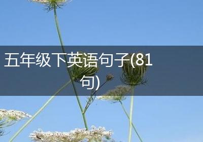 五年级下英语句子(81句)